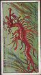 The cigarette cards in the set are : 1 Ant-lion Larva 2 Beavers constructing a dam 3 Leaf-rolling Beetle 4 Sacred Beetles or Scarabs 5 White-headed Bell-Bird 6 Bower-Birds 7 Umbrella-Bird 8 Sociable Weaver-Birds and Nests 9 Chameleons 10 Flying Dragon 11 Sea-Dragon 12 Archer Fish 13 Leaf-Insects 14 "Praying" Insects 15 Stick-Insects 16 Mole and Mole-Fortress 17 Pitcher Plant 18 The end of the Scorpion's Courtship 19 Leaping Spider 20 Trap-door Spider 21 Water Spiders 22 Teredo or Ship-Worm 23 Mason-Wasps and Nests 24 Army-Worms and Fly