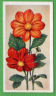 1 Alyssum   2 Anchusa,  3 Antirrhinum,  4 Balsams,  5 Bartonia, 6 Brachycome,  7 Candytuft,  8 Annual Chrysanthemum,  9 Clarkia, 10 Coreopsis, 11 Cornflower, 12 Cosmos, 13 Dahlia 14 Dimorphotheca, 15 Eschscholtzia, 16 Gaillardia, 17 Godetia, 18 Gypsophila, 19 Jacobea, 20 Larkspur, 21 Lavatera, 22 Layia, 23 Love-Lies-Bleeding, 24 Lupinus, 25 Lychnis, 26 Marigolds 27 Mignonette, 28 Mimulus, 29 Nasturtium, 30 Nemophila, 31 Nigella 32 Night-Scented Stock, 33 Poppies, 34 Rudbeckia, 35 Salipiglossis, 36 Salvia, 37 Scabious, 38 Scarlet Flax, 39 Statice, 40 Sunflower, 41 Sweet Peas, 42 Sweet Sultans, 43 Sweet Wivelsfield, 44 Tagetes, 45 Ten-Week Stocks, 46 Ursinia, 47 Verbena 48 Virginian 