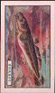 To return to cigarette cards catalogue close this window