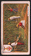 To return to cigarette cards catalogue close this window