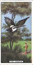  Images will open in a new window to return to cigartte cards catalogue close window 