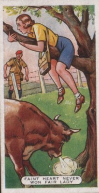 Proverbs 1936 beautiful artistic set of 25 cigarette cards, all cads showing different Proverbs, and explanation about the history of the proverbs at the back. excellent 