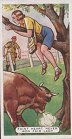 Full Images of cigarette cards set  will open in a new window to return to catalogue close window 