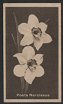 Full Images will open in a new window to return to cigartte cards catalogue close window 