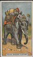 Full Images will open in a new window to return to cigartte cards catalogue close window 