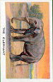  Images will open in a new window to return to cigartte cards catalogue close window 