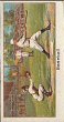 The cigarette cards in the set are : 26 Cricket T. Richardson 27 Bowls 28 Association Football Bert Freeman 29 Running W. Kolehmainen 30 Lawn Tennis Ladies' Champion Mdlle.Lenglen 31 Billiards Record Break T. Newman 32 Fencing Major E. Stenson Cooke 33 Boxing Georges Carpentier 34 Chess Sir George A. Thomas 35 Wrestling G.W. Wilson 36 Golf English Ladies' Close Championship Miss D.Chambers 37 Whippet Racing 38 Fox Hunting Mr. Tommy Bouch 39 Ski-Running Harold Smith 40 Rugby Footabll 41 Cross Country Running 42 Furthest South Pole Expedition Captain R.F.Scott 43 Water Polo 44 Punting H.D. Marshall 45 Cycling H. Green 46 Mountain Climbing 47 Throwing The Javelin I. Myrra 48 Highest Dive Tommy Burns 49 Gordon-Bennett Cup Balloon Race M. Ernest Demuyter 50 Baseball C.H. Sisler