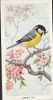  Images will open in a new window to return to cigartte cards catalogue close window 