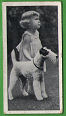 Images will open in a new window to return to cigartte cards catalogue close window