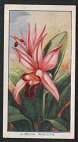  Images will open in a new window to return to cigartte cards catalogue close window 