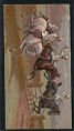  Images will open in a new window to return to cigartte cards catalogue close window 