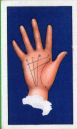 Images will open in a new window to return to cigartte cards catalogue close window