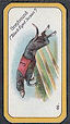  Images will open in a new window to return to cigartte cards catalogue close window 