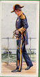 the cigarette cards in the set are : Seamen 1480,Tudor Period,Seamen of the Cinque Ports,Sailor of Drake Period 1574,Officer of Drake Period 1583,Seamen of Drake Period 1588,Seamen of 1603,Officer of 1651,Seamen of 1663,Seamen of 1690,Admiral 1704,Master Mariner 1740,Post Captain 1740,Seamen, of 1744,Gunner 1750,Lieutenant 1773,Midshipman of 1775-83,Master 1777,Seamen 1780,Admiral 1782,Perser 1787,Ship's Cook 1790,Seamen 1798,Post Captain 1798,Sailor 1805,Admiral of the Fleet 1805,Gunner 1805,Midshipman 1808,Boatswain 1828,Seamen 1830,Captain, 1830-37,Mate 1833,Flag Officer 1833,Seaman of the Blazer 1845,Petty Officer First Class 1856,Seaman 1861,Warrant Officer 1863,Boatswain 1863,Commander 1870,Admiral 1870,Midshipman 1870,Chief Engineer 1880,Sailor Present Day,Midshipman Present Day,Flag, Captain Present Day,Admiral of the Fleet,Royal Marines 1664,Royal Marines 1755,Royal Marines 1805,Royal Marines Light Infantry 1855 