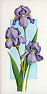 the cigarette cards in the set are: Crocus, Iris, Helleborus, Daphne, Forsythia, Doronicum, Primula, Pulsatilla, Narcissus, Camellia, Saxifraga, Alyssum, Magnolia, Anemone, Azalea, Phlox, Rhodedendron, Syringa, Geum, Primula, Viburnum, Lupin, Delphinium, Clematis, Rose, Climbing Rose, Rosa, Rosa, Iris, Fuchsia, Monarda, Gladioli, Helenium, Dahlia, Buddleia, Anemone, Hydrangea, Rudbeckia, Sedum, Lilium, Erica, Lilium, Chrysanthemums, Nerine, Viburnum, Jasminum, Hamamelis, Erica, Helleborus & Mahonia