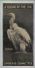 The cigarette cards in the set are : Macaw,Leopard,Hornbill,Grenland Falcon,Great Egret,Vulture,Musk Ox,Demoiselle Crane,Giraffe,Cheetah,Flamingo,Rhinoceros,Pelican,Marabou Stork,Black Leopard,Lion,Goliath Heron,Camel,Tortoise,Lion,Fallow Deer,Drill,Chilean Sea Eagle,Iguana,Reindeer,Brown, Bear,Ibex,Pelican,Llama,Crowned Hawk Eagle,Llama,Crowned Hawk Eagle,Lion Cub,Hippopotamus,Prairie Wolf,Baboon,Ostrich,Pelicans,Monkey,Owls,Penguins,Elephant,Llamas,Ibex,Tiger,Zebra,Polar Bears,Cheetah,Gelada Baboon,Kinkajou,