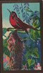 The cigarette cards in the set are : 1  Orange Fruit Pigeon  2  Banded chatterer  3  Cock-of-the Rock  4  Prince Rudolph's Bird-of-Paradise  5  Green Magpie  6  Red-Billed Blue Magpie  7  Regent Bower-Bird  8  Many coloured Parrakeet  9  Gouldian Finches  10 Godlen-Fronted Bulbul  11 Blue-Shouldered Tanager  12 Orange-Rumped Tanager   13 Australian Blue Wren  14 Duvaucel's Trogon  15 Lort Phillips Roller 16 Golden-Headed Quezal   17 Pennants Parroquet  18 Black-Capped Kingfisher