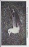 Images will open in a new window to return to cigartte cards catalogue close window