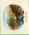 Images will open in a new window to return to cigartte cards catalogue close window