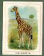  Images will open in a new window to return to cigartte cards catalogue close window 