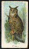  Images will open in a new window to return to cigartte cards catalogue close window 