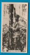 1 Tapping a Rubber Tree, Malaya, 2 Sterilising Plant, Oil palm Estate, Malaya, 3  A Malaya Rubber Estate, 4  Nipah Palm, Malaya, 5  A Banana Plant, Malaya, 6  Gutta Percha, 7 A Gambier Plant, Malaya, 8  A Malayan Coconut Estate, 9  Bucket Dredge in a Malayan Tin Mine, 10 Transplanting Oil Palm Seedlings, Malaya, 11 Tin Dredge in a Malayan Mine, 12 Removing the "Meat" from Coconuts, Malaya, 13 Pineapple Cultivation, Malaya, 14 A Young Rubber Estate, Malaya, 15 Transporting Pipes on a Malayan Tin Mine,16    Coconut "Nursery," Malaya, 17  "Cr�ping" Machinery on a Rubber Estate, Malaya, 18  Workers on a Rubber Estate, Malaya, 19 Steam Navvy at Work in Tin Mine, Malaya, 20 Areca Nut Palms, Malaya,  21 Kapok Trees, Malaya, 22    Drying Rattans, Malaya, 23 Bagging Copra for Export, Malaya, 24    Unloading Pineapples, Malaya, 25 Transpaort by River on a Malayan Coconut Estate, 26 Native Sugar Mill, Malaya, 27 Irrigation for Rice Planting, Malaya