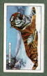 Images will open in a new window to return to cigartte cards catalogue close window