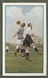 Images will open in a new window to return to cigartte cards catalogue close window