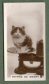 Full Images will open in a new window to return to catalogue close window 