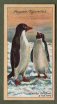  Images will open in a new window to return to cigartte cards catalogue close window 