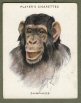  Images will open in a new window to return to cigartte cards catalogue close window 