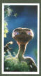 To return to cigarette cards catalogue close this window