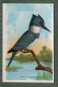 To return to cigarette cards catalogue close this window