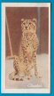 To return to cigarette cards catalogue close this window