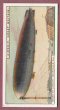 To return to cigarette cards catalogue close this window