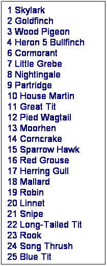 Text Box: 1 Skylark 
2 Goldfinch 
3 Wood Pigeon 
4 Heron 5 Bullfinch 
6 Cormorant 
7 Little Grebe 
8 Nightingale 
9 Partridge 
10 House Martin 
11 Great Tit 
12 Pied Wagtail 
13 Moorhen 
14 Corncrake 
15 Sparrow Hawk 
16 Red Grouse 
17 Herring Gull 
18 Mallard 
19 Robin 
20 Linnet 
21 Snipe 
22 Long-Tailed Tit 
23 Rook 
24 Song Thrush 
25 Blue Tit 
