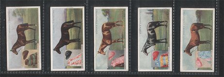 Derby Entrants 1926 complete set of 25 cigarette cards.