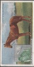 The cigarette cards in the set are: Apple Sammy, Artist Glow, Booklet, Buckler, Colorado, Comedy King, Coronach, Finglas, Friar Wile, Gay Lothario, Grandlight, Grassmoor, Happy Recruit, Harpagon, Jessel, Lancegaye, Legionnaire, Lex, Lightning Artist, Pantera, Phanarite, Pharan, Review Order, Rosehearty, and Swift and Sure