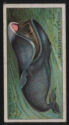  Images will open in a new window to return to catalogue close window