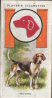 Boy Scout & Girl Guide Patrol Signs & Emblems. The cigarette cards in the set are;Full list: 1 Beaver 2 Bulldog 3 Cobra 4 Cuckoo 5 Curlew 6 Eagle 7 Fox 8 Hawk 9 Hound 10 Kangaroo 11 Lion 12 Otter 13 Owl 14 Panther 15 Peewit 16 Rattlesnake 17 Raven 18 Sea-Gull 19 Seal 20 Stag 21 Swift 22 Tiger 23 Wolf 24 Woodpecker 25 Wood-Pigeon 26 Blackbird 27 Bullfinch 28 Canary 29 Chaffinch 30 Cornflower 31 Daffodil 32 Forget-Me-Not 33 White Heather 34 Holly 35 Kingfisher 36 Nightingale 37 Pansy 38 Scarlet Pimpernel 39 Poppy 40 Primrose 41 Robin 42 Red Rose 43 Skylark 44 Shamrock 45 Swallow 46 Thistle 47 Thrush 48 Blue Tit 49 Violet 50 Wren 