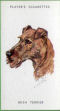  Images will open in a new window to return to cigartte cards catalogue close window 