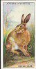 Some of the cigarette card in the set are: Common Toad,  Red Squirrel,  Harvest Mice, House Mice,   Mole, Common Shrew, Pigmy, Water Shrew, Hedgehog, Lesser Horseshoe Bat, Natterer's Bat, Common Bat, Whiskered Bats, Great Bat, Red Fox, Badgers, Otter, Pine Martin, Stoat, Weasel, Polecat, Grey Seal, Common Seal, Rabbit, Brown Hare, Water Vole, Blue Hare, Irish Hare, Dormouse, Field Vole, Long-Tailed Field Mouse, Black Rat, Brown Rat and Young, Grey Squirrel, Red Deer, Fallow Deer, Roe Deer, Slow Worm, Sand Lizard, Common Lizard, Wild Cat,  Grass Snake, Smooth Snake, Adder or Viper, Common or Smooth Newt, Palmate Newt, Crested Newt, Common Frog, Edible Frog, Natterjack Toad