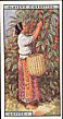 1 Apples Grading Machine, Tasmania 2 Bananas, 1 Gathering the Fruit, Jamaica 3 Bananas, 2 Loading a Steamship, Costa Rica 4 Coal, 1 Hauling by electric motor, U.S.A. 5 Coal, 2 Screening Coal, Great Britain 6 Cocoa, 1 Cacao Tree, Trinidad 7 Cocoa, 2 Opening the Pods, Trinidad 8 Cocoa, 3 Fermenting the Beans, Java 9 Coco-nuts, 1 Gathering the Fruit, Pacific Islands 10 Coco-nuts, 2 Floating a Raft of Coco-nuts to the Mill, Philippine Islands 11 Coco-nuts, 3 Breaking the Husks, Ceylon 12 Coco-nuts, 4 Drying Copra, Fiji Is. 13 Coffee, 1 Gathering the Berries, East Indies 14 Coffee, 2 Drying Grounds, Brazil 15 Coffee, 3 Hulling the Beans, Java 16 Copper Pouring Molten Metal into Moulds, Chile 17 Cotton, 1 Picking "Seed Cotton," W. Indies 18 Cotton, 2 Breaking up Bales in Mixing Room, England 19 Cotton, 3 Spinning Machine, Lancashire 20 Dates Gathering the Fruit, N. Africa 21 Diamonds Washing Plant, Kimberley 22 Gold Drilling Blast Holes, S. Africa 23 Oil, 1 Boring for Oil, U.S.A. 24 Oil, 2 Controlling a "Gusher," U.S.A. 25 Pearls, 1 Native Diver at Work, Ceylon 26 Pearls, 2 Opening the Oysters, Ceylon 27 Pine-apples Gathering the Fruit, Hawaii 28 Rice, 1 Hoeing the Ground before Sowing, Japan. 29 Rice, 2 Transplanting the Shoots, Japan. 30 Rice, 3 Harvesting Rice, Java. 31 Rubber, 1 Tapping the Trees, Ceylon 32 Rubber, 2 Rolling and Drying Rubber "Biscuits," Ceylon 33 Rubber, 3 A Cr�pe Machine, Ceylon 34 Salt, 1 Obtaining Salt from the Sea, S. Europe 35 Salt, 2 A Rock-Salt Mine, Rumania 36 Salt, 3 Making Salt Blocks, Cheshire 37 Silk, 1 Trays on which Silkworms spin Cocoons, Japan 38 Silk, 2 Preparing Cocoons, Japan 39 Silk, 3 Reeling Silk, Japan 40 Sugar, 1 Cutting the Cane, W. Indies 41 Sugar, 2 Unloading the Canes at the Factory, Queensland 42 Sugar, 3 Crushing the Canes, Java 43 Tea, 1 Plucking the Leaves, Ceylon 44 Tea, 2 Weighing the Pickings, Ceylon 45 Tea, 3 Bulking Tea, Ceylon 46 Tin Hydraulic Sluicing, Tasmania 47 Wheat, 1 Sowing Seeds by Tractor, Canada 48 Wheat, 2 A "Combine" at Work, Canada 49 Wool, 1 Shearing Sheep by Machinery, Australia 50 Wool, 2 A Modern Loom, England 