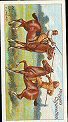 The cigarette cards in the set are; : 1 Bringing in Wounded Man 2 Field Waggon 3 War Kite Drill 4 Laying a Field Telegraph Line 5 Firing from a Gun Pit 6 Pitching Tents 7 Watering Horses 8 Filtering Water 9 Field Telegraph Office 10 Jumping with led Horse 11 Bayonet Fighting 12 Map Reading Class 13 Lamp Signalling 14 Picking up Wounded 15 Cyclists Scout Section 16 Unpacking Waggons 17 Mechanical Transport Section 18 Lance v. Sword 19 Making Gas for War Balloons 20 Filling War Balloons 21 Searchlight Section 22 Baloon Drill 23 Starting the Engine 24 Presentation of Long Service Medals 25 Flag Signalling