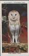 The cigarette cards in the set are: 1 Blackbird and Young 2 Bullfinch and Young 3 The Reed Bunting 4 Chaffinch and Nest 5 Chiff-Chaff and Young 6 The Carrion Crow 7 Young Cuckoo with Sedge-Warbler Foster-Mother 8 Curlew settling on Her Eggs 9 Stone-Curlew and Eggs 10 The Dipper 11 The Black-Throated Diver 12 Spotted Flycatcher and Young 13 The Black-Necked Grebe 14 The Great-Crested Grebe 15 The Jackdaw 16 Jay and Young 17 The Kestrel 18 The Kingfisher 19 Kittiwake and Young 20 Lapwing and Eggs 21 Linnet and Young 22 The Magpie 23 Merlin and Young 24 The Nightingale 25 The Nightjar 26 The Barn Owl 27 The Brown Owl 28 Little Owl Asleep 29 The Ringed Plover 30 Puffins 31 The Raven 32 The Robin 33 Sandpiper and Eggs 34 Red-Backed Shrike and Young 35 Sparrow-Hawk and Young 36 The House-Sparrow 37 Mute Swan at Her Nest 38 Mistle Thrush and Young 39 Song-Thrush at Her Nest 40 The Great Tit 41 The Long-Tailed Tit 42 The Grey Wagtail 43 Reed-Warbler and Young 44 Sedge-Warbler and Young 45 The Willow-Warbler 46 Whinchats 47 The Whitethroat 48 The Green Woodpecker 49 The Wren 50 Yellow Hammer and Young