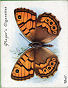  Images will open in a new window to return to cigartte cards catalogue close window 
