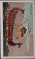 Full Images will open in a new window to return to cigartte cards catalogue close window 