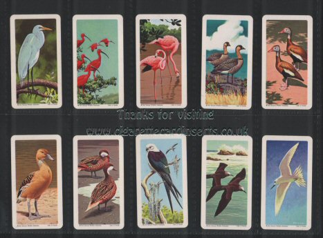 Brooke Bond Tropical Birds Canadian issue of 1964, mint condition