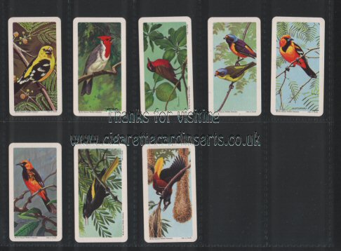 Brooke Bond Tropical Birds Canadian issue of 1964, mint condition