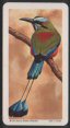 Full Images will open in a new window, This is very large image and will take long time to open to return to catalogue close window 